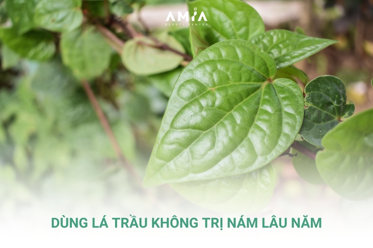 Lá trầu không có thể đánh bật vết nám lâu năm