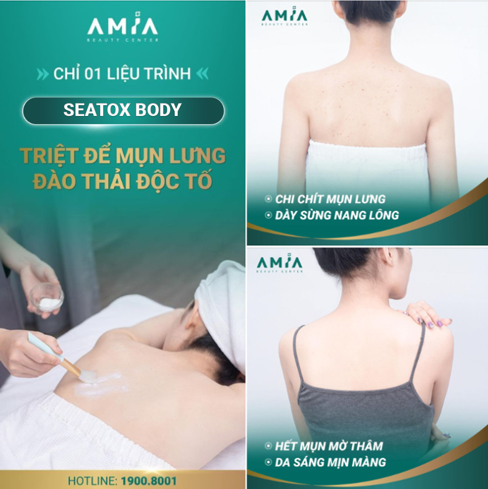 Ưu điểm của giải pháp Seatox Body