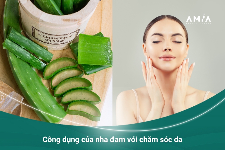 Công dụng của nha đam với chăm sóc da