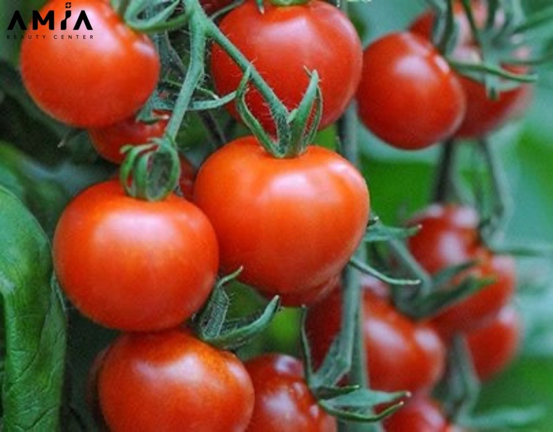 Ăn cà chua thường xuyên sẽ giúp môi lên đều và đẹp hơn sau xăm