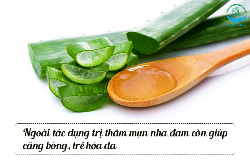 Trị thâm mụn với nha đam